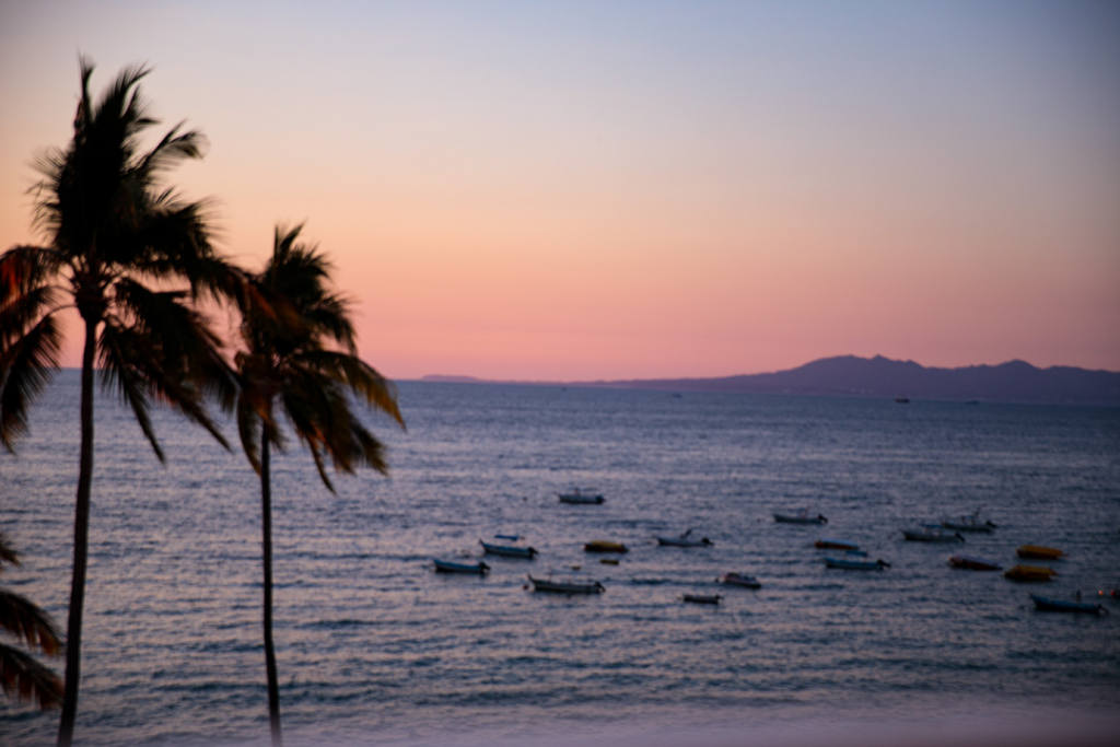 Palm trees silhouetted against a soft sunset sky overlook a calm ocean dotted with small boats and distant hills, capturing a serene coastal scene often featured in destination photography.