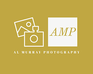 golden logo for AMP - Al Murray Photography
